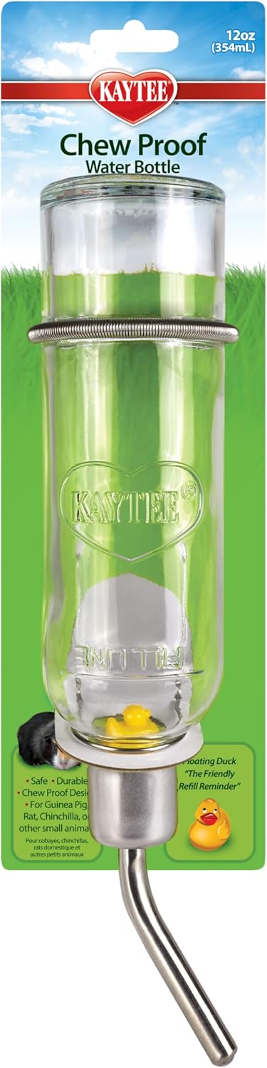 Kayteee Glass  Water Bottle 12oz