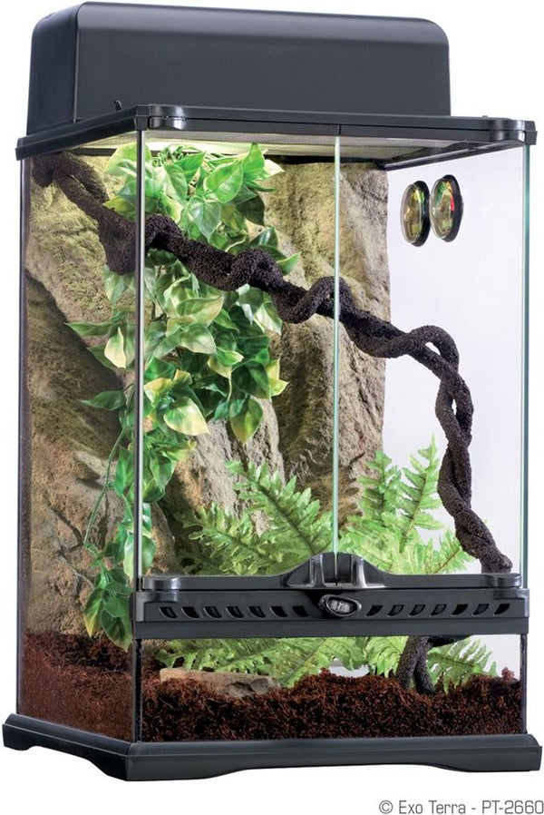 Exo Terra Rainforest Reptile Habitat Kit 18'' x 18'' x 24''