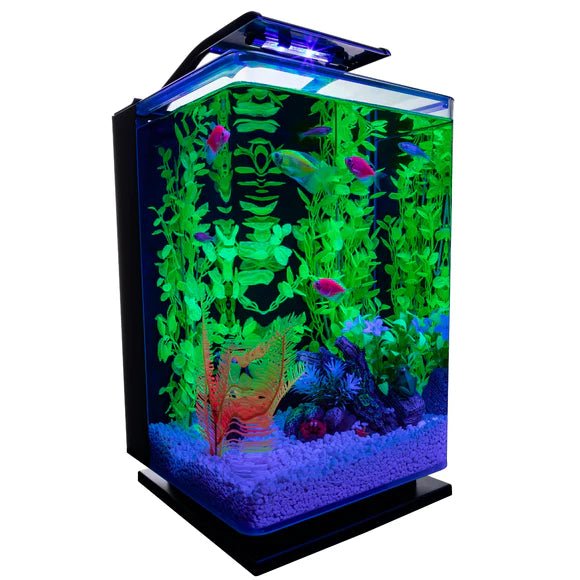 GloFish Aquarium Kit