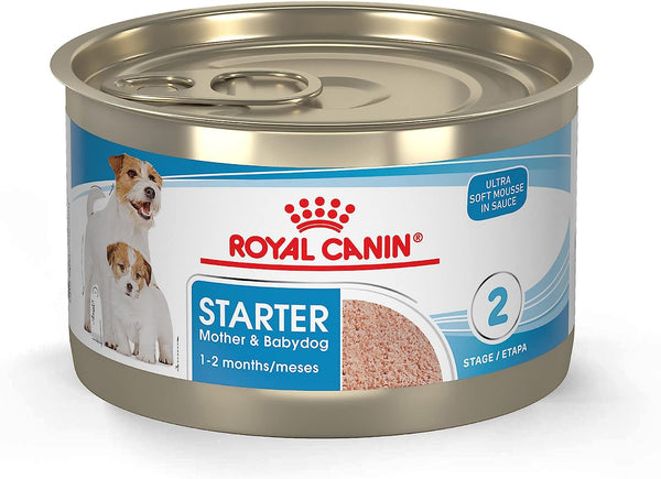 Royal Canin Size Health Nutrition Small Mother & Babydog Starter Mousse in Sauce Wet Dog Food