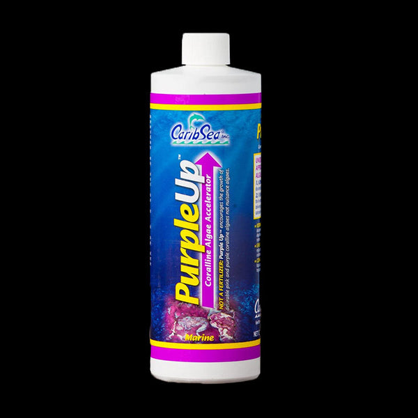 Acelerador de crescimento de algas coralinas CaribSea Purple Up 8 onças