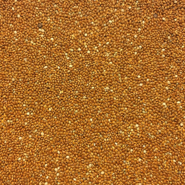 Millet German Red