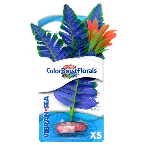 Color Burst Florais Pequeno Crispus Azul