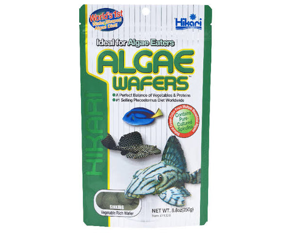 Wafers de algas Hikari 8,8 onças