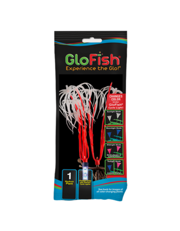 Planta que muda de cor GloFish Med Orange