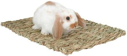 Peter's Woven Grass Small Animal Mat, Brown