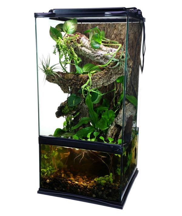 Zoo Med Paludarium - 12"  x 12" x 24" - 4 gal